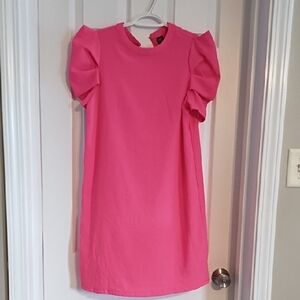 Pink Ruffled Sleeve Kids Dress